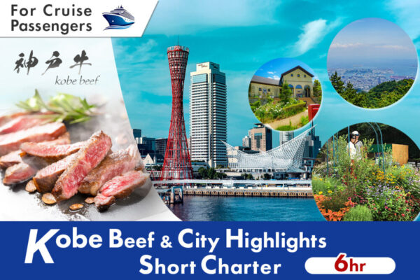 Cruise Excursion: Kobe Essential Charter (6 Hours)
