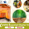cruise-excursion-kyoto-essential-charter-main
