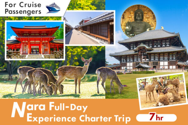 Cruise Excursion: Nara Full-Day Experience Charter (7 Hours)