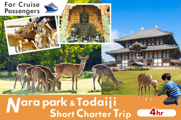 Cruise Excursion: Nara Park & Todaiji Short Charter (4 Hours)