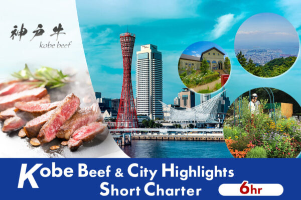 Kobe Essential Charter from Osaka Hotel (6 Hours)