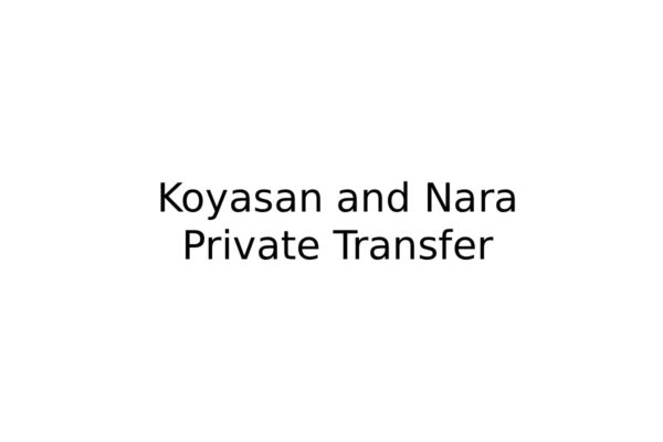 Koyasan and Nara City Private Transfer