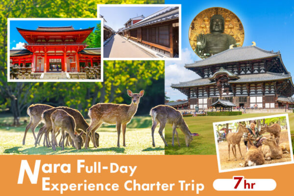 Nara Full-Day Experience Charter from Osaka Hotel (7 Hours)