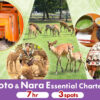 nara_kyoto_essential_charter_trip-main